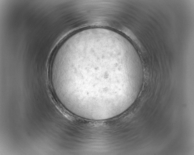 X0000068740886200605192342