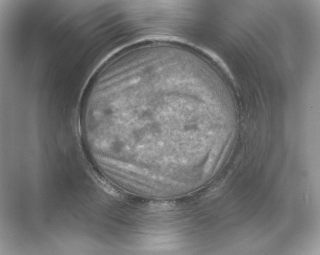 X0000068740887200605192342