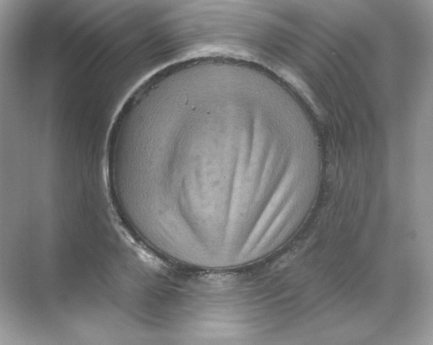 X0000068740888200605192342