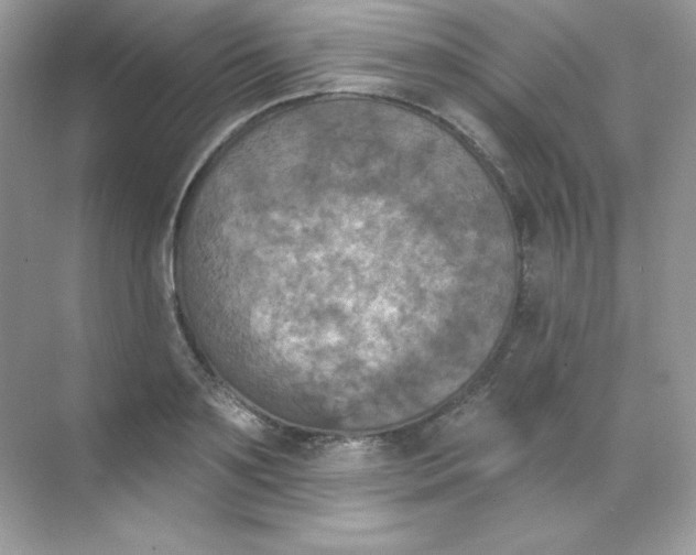 X0000068740891200605192342