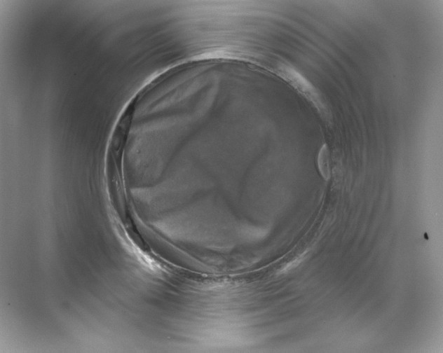 X0000068740892200605192342