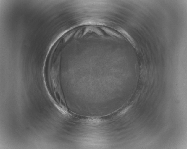 X0000068740893200605192342