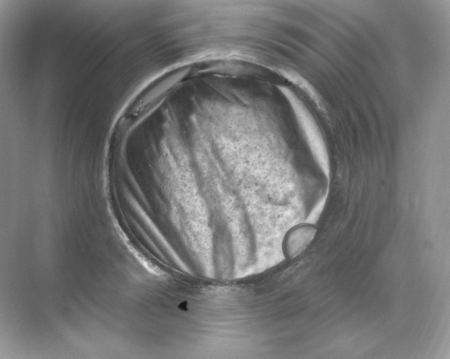 X0000068740894200605192342