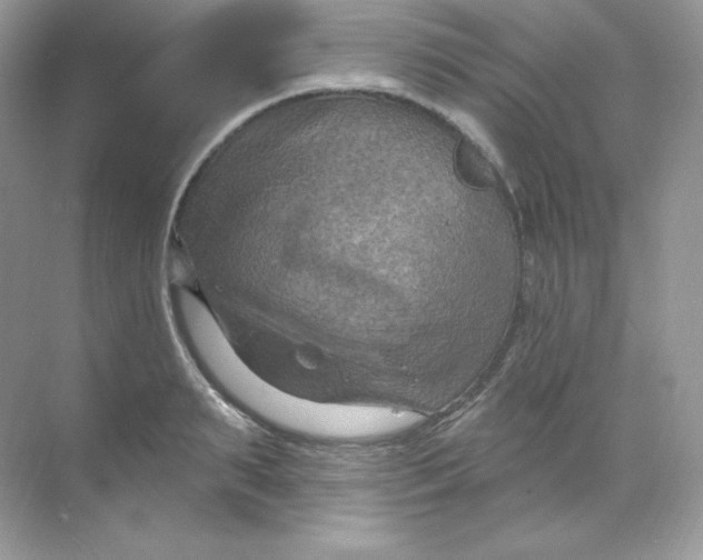 X0000068740895200605192342