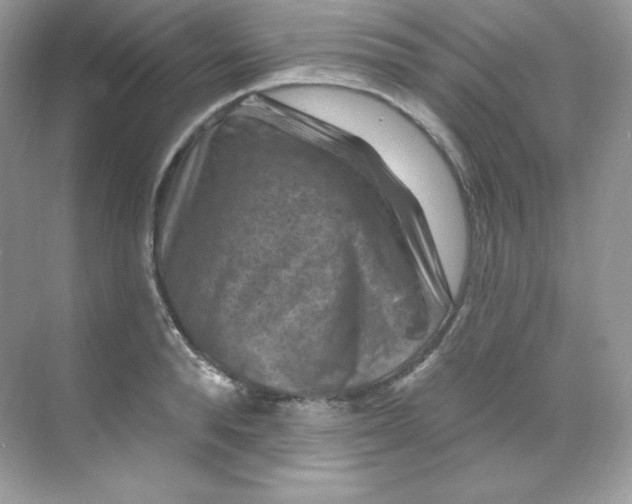 X0000068740896200605192342