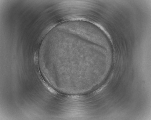 X0000068740897200605192342