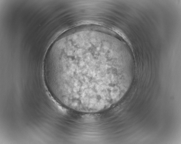 X0000068740898200605192342