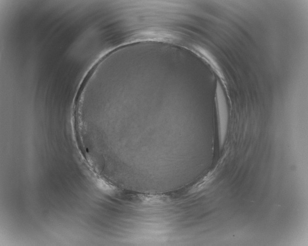 X0000068740899200605192342