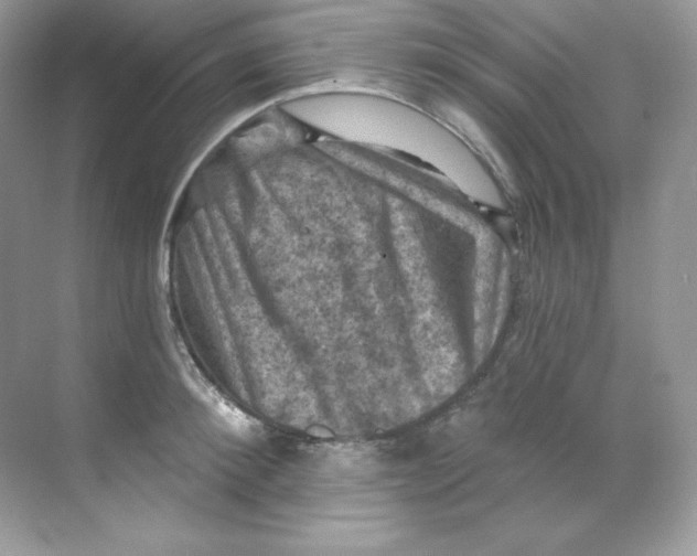 X0000068740900200605192342