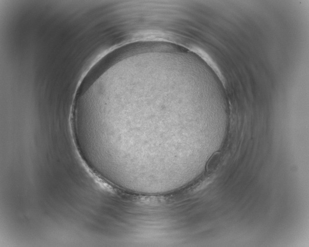 X0000068740901200605192342