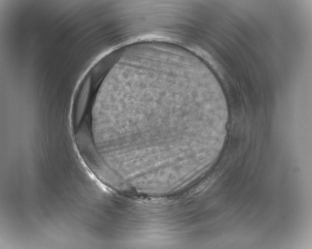 X0000068740902200605192342