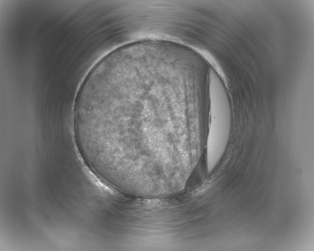 X0000068740903200605192342