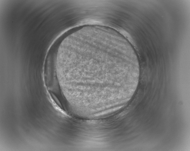 X0000068740904200605192342