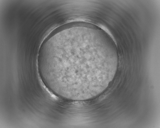 X0000068740906200605192342