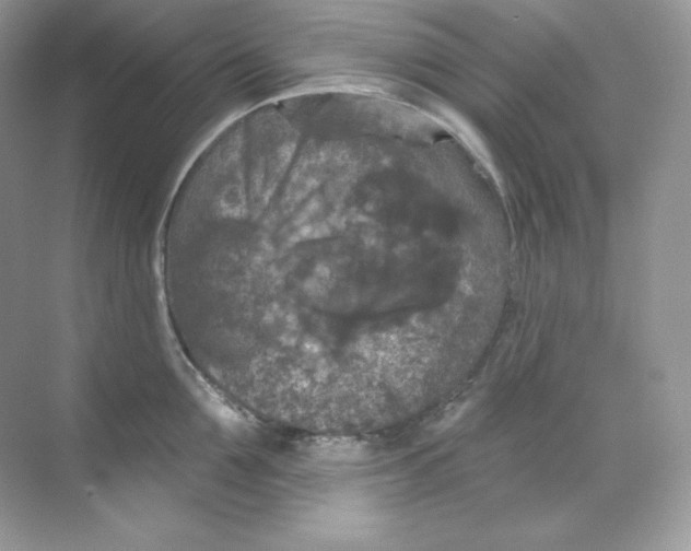 X0000068740907200605192342