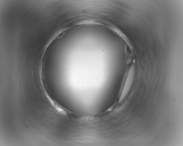 X0000068740909200605192342