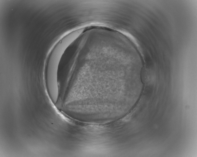 X0000068740910200605192342