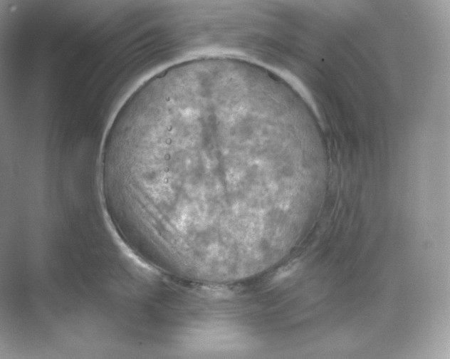 X0000068740911200605192342