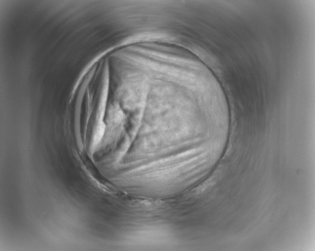 X0000068740912200605192342