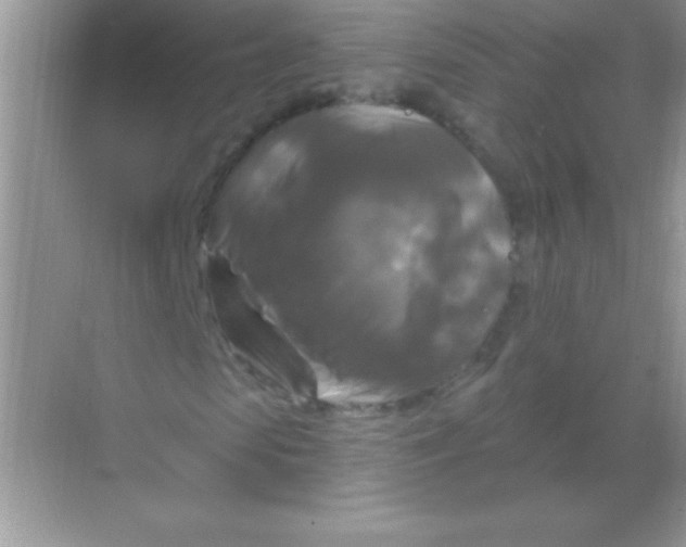 X0000068740913200605192341