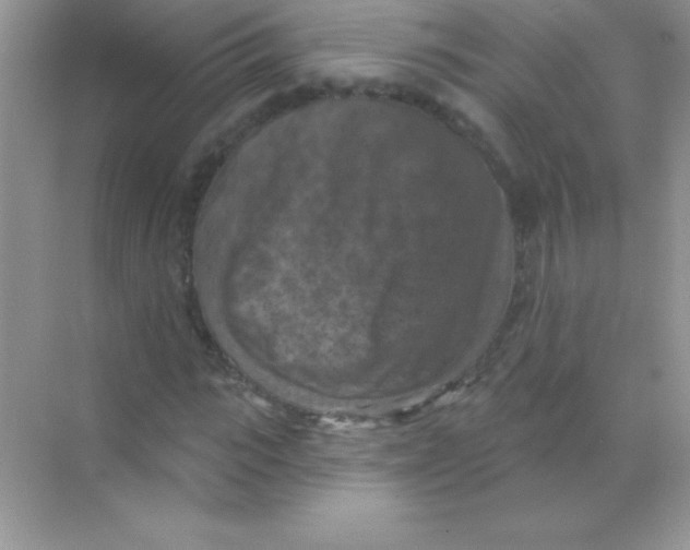 X0000068740919200605192341