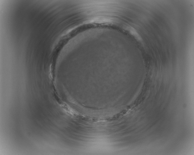 X0000068740920200605192341