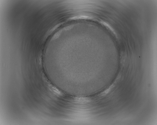 X0000068740921200605192341