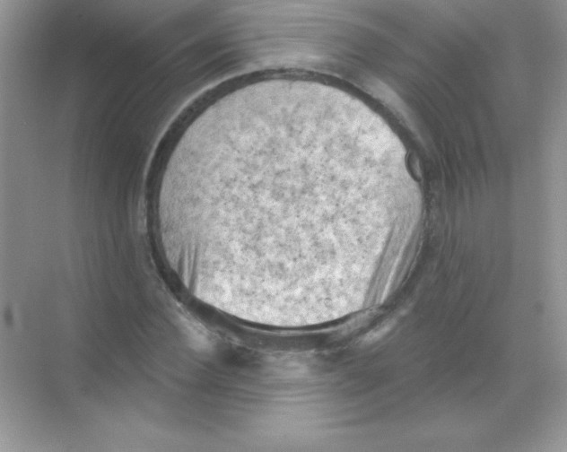 X0000068740924200605192341