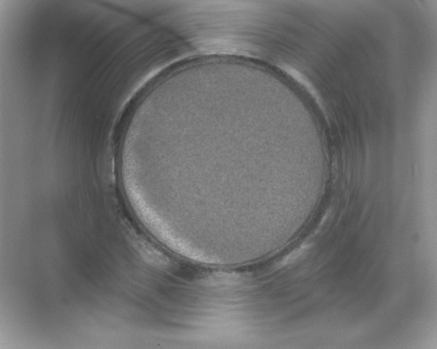 X0000068740925200605192341