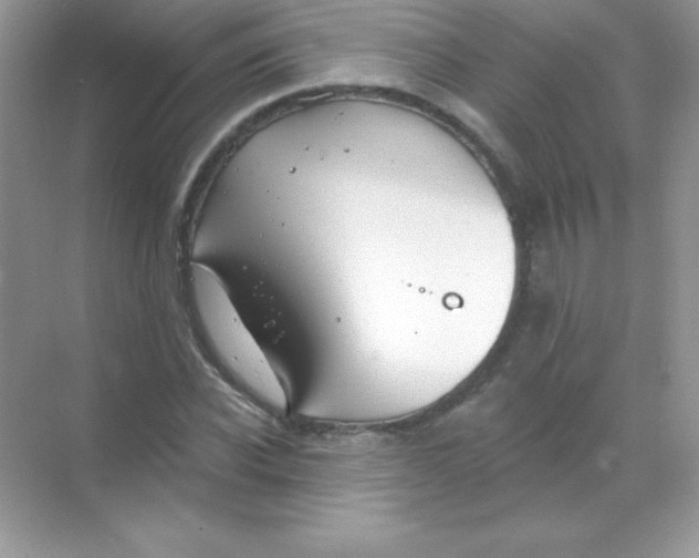 X0000068740926200605192341