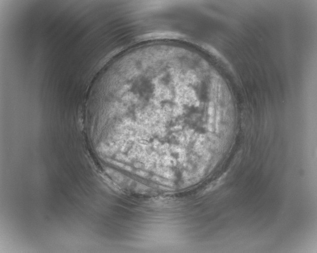 X0000068740929200605192341