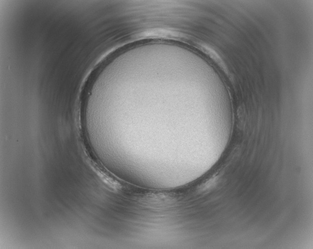 X0000068740931200605192341