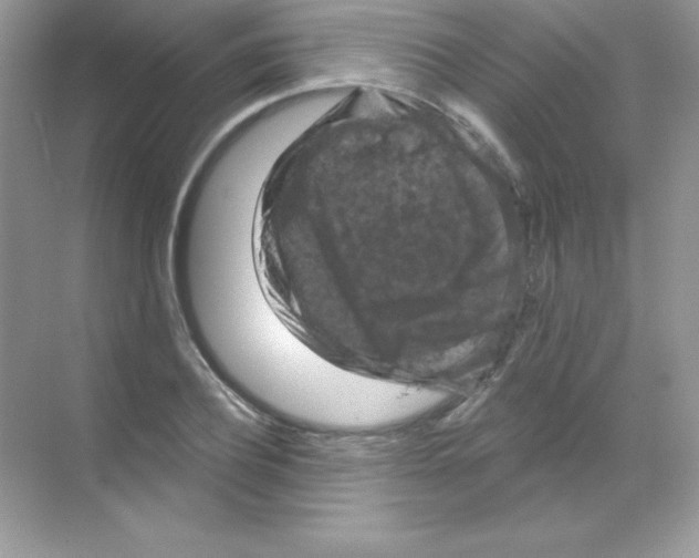 X0000068740932200605192341