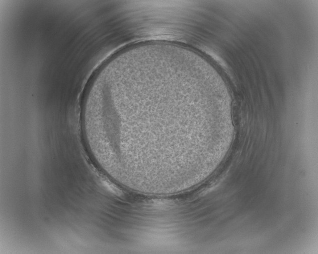 X0000068740933200605192341