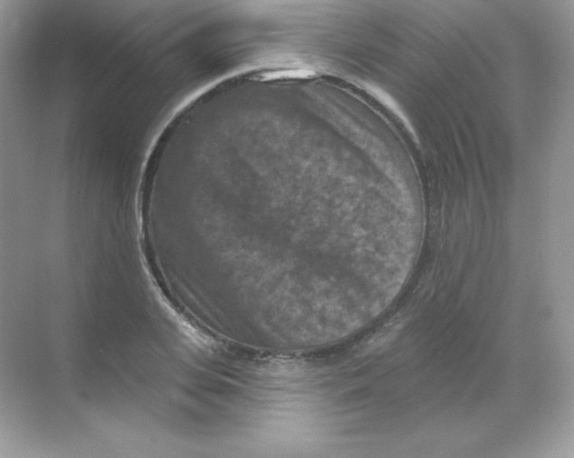 X0000068740935200605192341