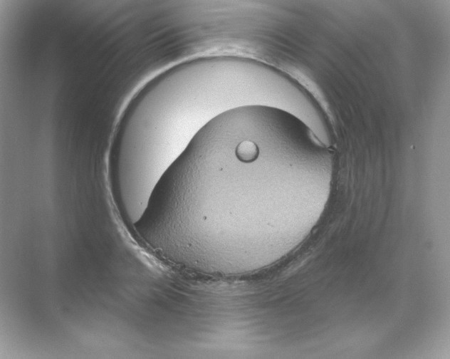 X0000068740936200605192341