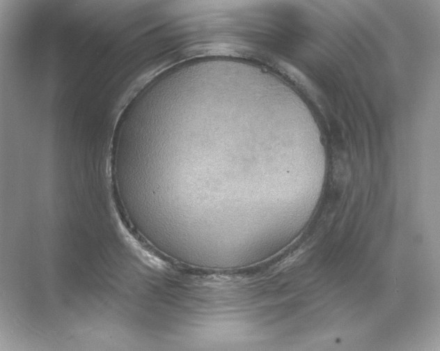 X0000068740938200605192341