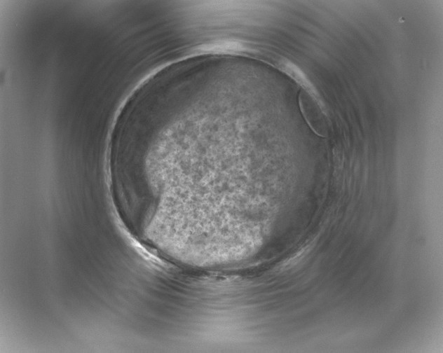 X0000068740939200605192341