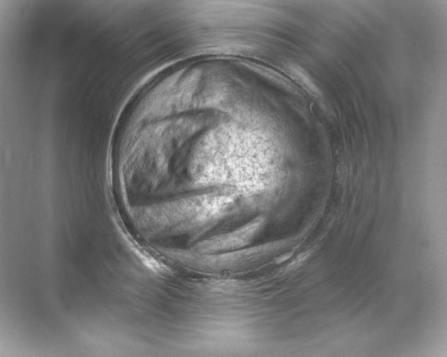 X0000068740940200605192341