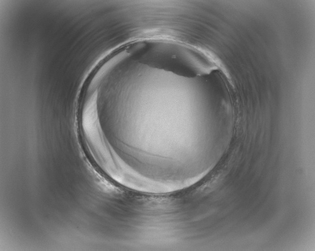 X0000068740941200605192341