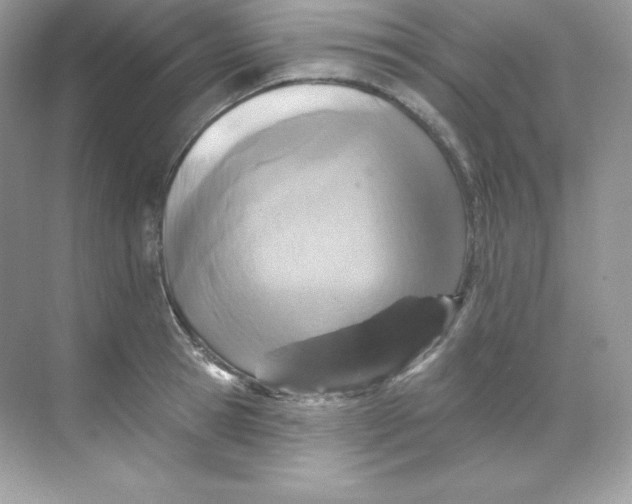 X0000068740945200605192341