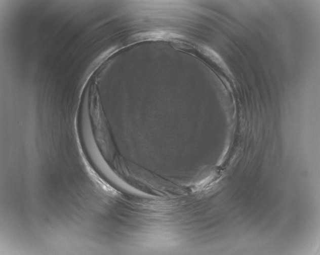 X0000068740946200605192341