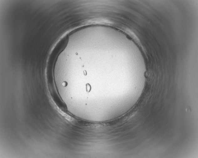 X0000068740947200605192341