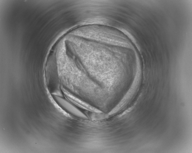 X0000068740949200605192341