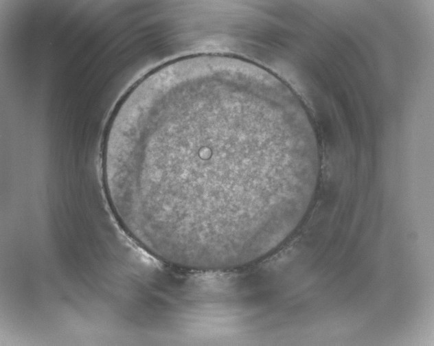 X0000068740950200605192341