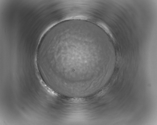 X0000068740952200605192341