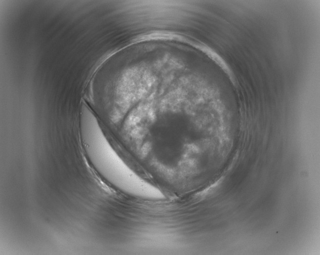 X0000068740953200605192341