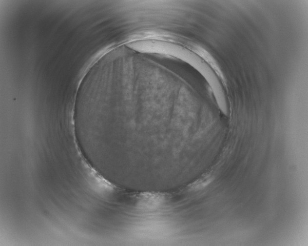 X0000068740954200605192341