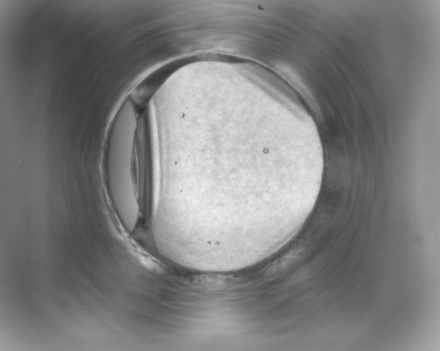 X0000068740956200605192341