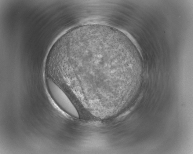 X0000068740957200605192342